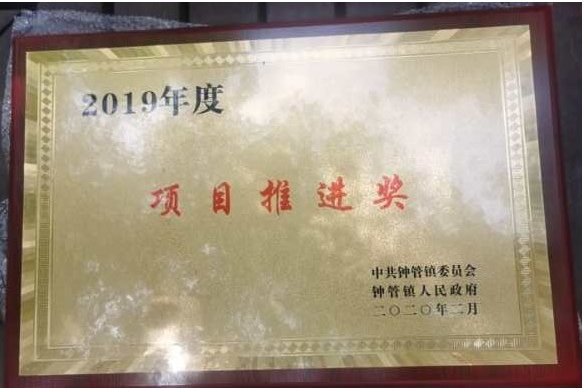 玩加电竞获得多项政府奖励